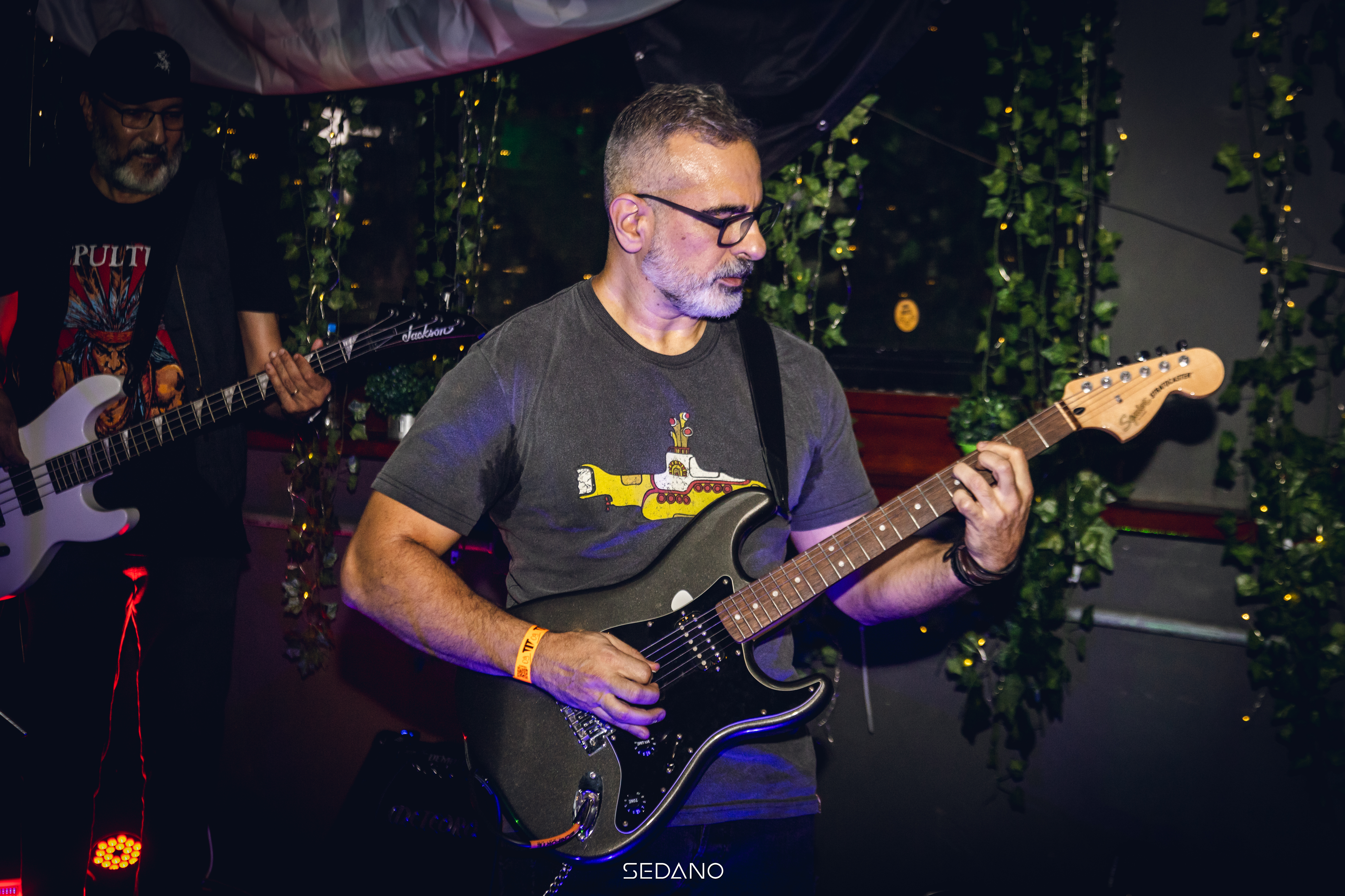 Imagem Guitarrista